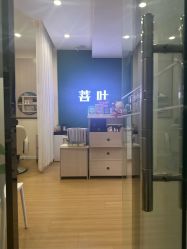 -菩叶脱发白发中心