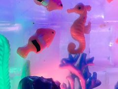 -世界之窗阿尔卑斯冰雪世界