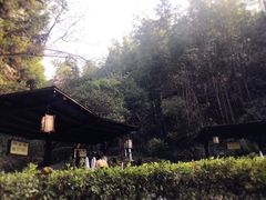 -明月山天沐温泉度假村