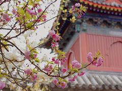 -北京艺术博物馆(万寿寺)