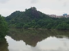 -大亚湾红树林城市湿地公园