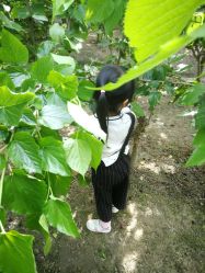 -太湖雪蚕桑文化园