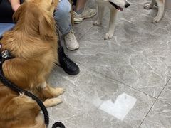 -狗舍宠物医院(四季商业广场店)