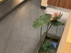 -九田家黑牛烤肉料理(衡百国际店)