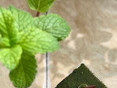 相思抹茶蛋糕-巴黎贝甜·生日蛋糕(环球中心店)