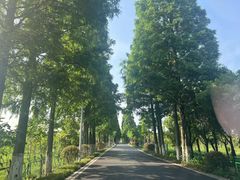 -申隆生态园