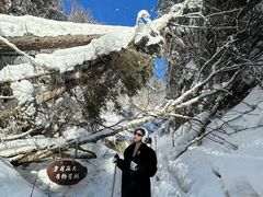 -峡谷浮石林景区
