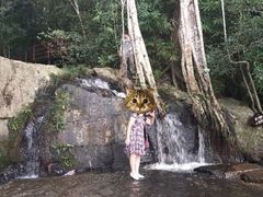 -呀诺达热带雨林