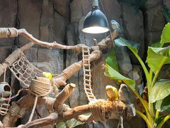 -正佳雨林生态植物园