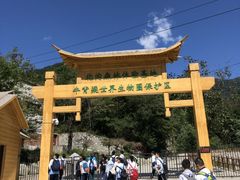 -牛背梁国家森林公园