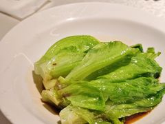 白灼生菜-维园悦谱·海派家常菜(乌鲁木齐南路店)