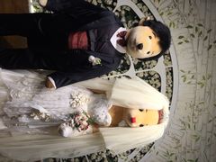 泰迪熊博物馆-济州岛泰迪熊博物馆