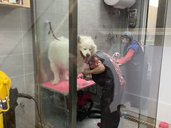 -宠福鑫康馨动物医院·骨科·眼科