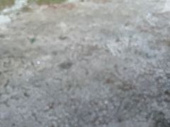 -沐仙湖湿地公园