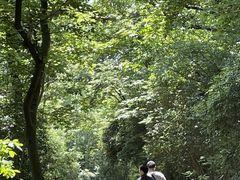 -紫金山山顶公园