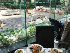 -白虎自助餐厅·真老虎·景观自助餐厅(广州长隆酒店)