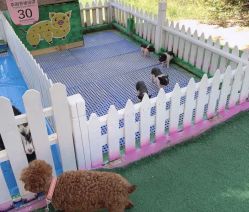 -萌宠亲子动物乐园(槐房万达店)