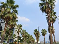 -金沙湖公园