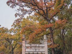 -灵谷景区