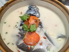 -全乐鱼馆·淳牌有机鱼直营店