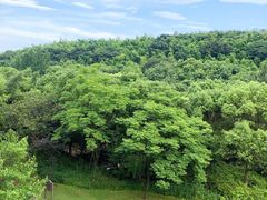-上海佘山世茂艾美酒店