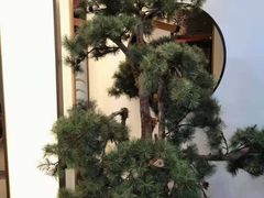 -望湘园·洞庭渔宴(永旺店)