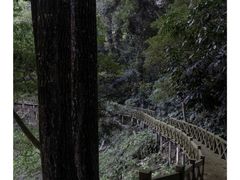 -广州市流溪河国家森林公园