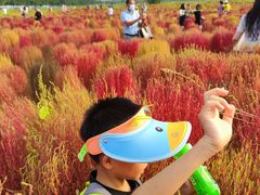 -汉长安城未央宫国家考古遗址公园