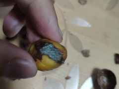 -阿男野栗王(金门路店)