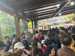 -西双版纳原始森林公园