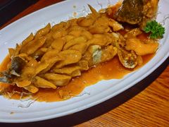 -田婆婆的菜(印象汇店)