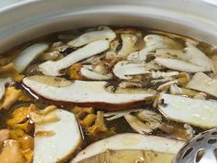 -蘑统田下·野生菌火锅