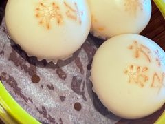 -东方早茶 海鲜•青岛菜(国信体育中心店)