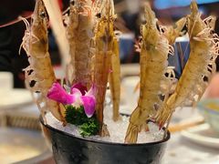 -红辣椒·川菜·火锅(张杨路店)