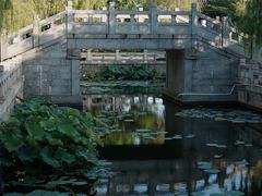 -厦门园林博览苑