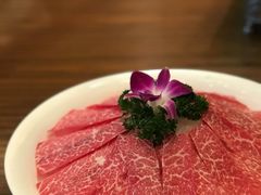 -珍宝轩海鲜火锅(碧湖大厦店)