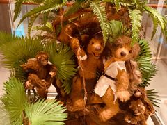 -济州岛泰迪熊博物馆