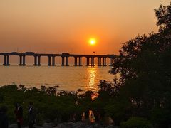 -宝安西湾红树林湿地公园