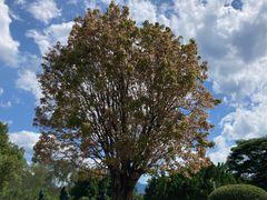 -福建鲤鱼洲酒店