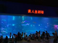 -福州罗源湾海洋世界旅游区