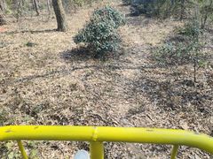 -WeLope紫金山探险公园