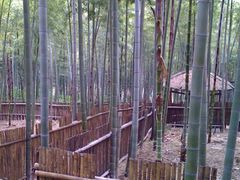 -众神白水涧景区