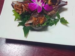 海螺-越日本料理(新地假日广场店)