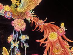 -牛New寿喜烧(金鹰世界店)