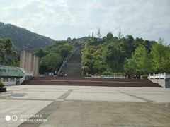 -铁山坪森林公园