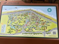 -上海滨江森林公园