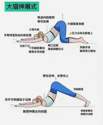 -归位瑜伽＆普拉提馆