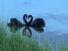 -梅州天地人花园酒店(梅县人民广场店)