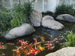 -罗红摄影艺术馆