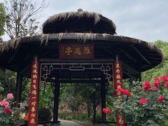 -东湖落雁景区